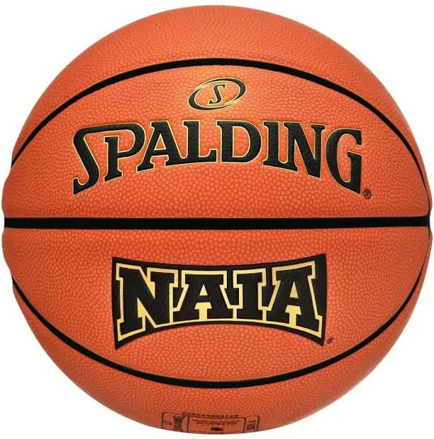 Legacy TF1000 Naia Indoor Game Basketball
