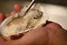 Video frame trigger