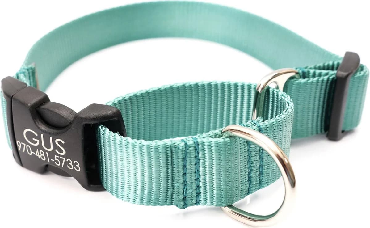 Mimi Green Personalized Nylon Martingale Dog Collar
