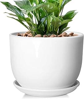 8 Inch Ceramic Planter, Plant Pots with Drainage Hole and Separable Saucer,Indoor-Outdoor Round Succulent Orchid Flower Pot,Indoor pots for Plants(Smooth White,Plant Pot only)