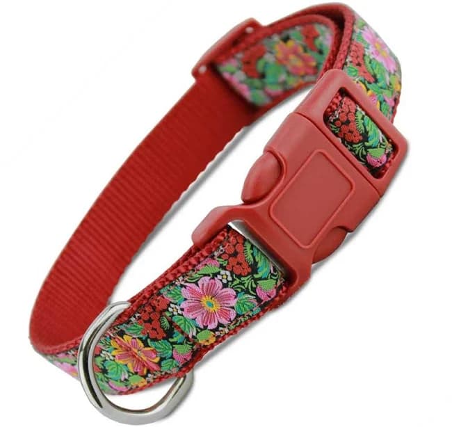 Red Floral Dog Collar