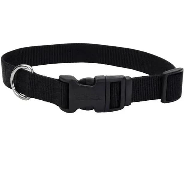 Coastal Adjustable Nylon Dog Collar with Plastic Buckle, 5/8 In X 10-14 In / Blue Lagoon