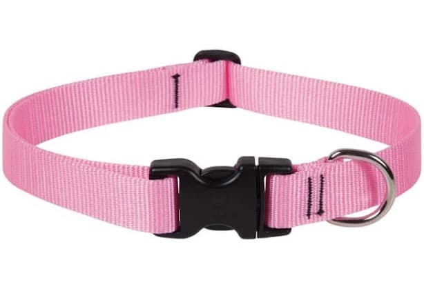 Lupine Pet Basic Solids Adjustable Dog Collar