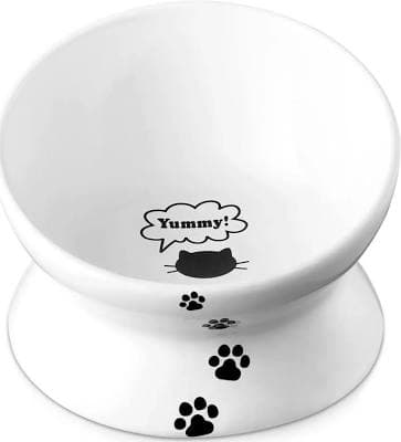 Ceramic Elevated Cat Bowl