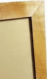 Video frame trigger