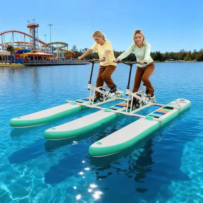 Hokku Designs 2 Person Water Bike Pedal Boat