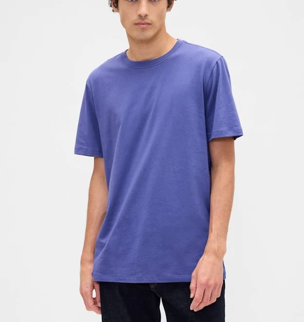 Gap Men's Everyday Soft Crewneck T-Shirt