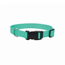 Retriever Adjustable Dog Collar with Plastic Buckle - Teal,3/8 x 8-12in.