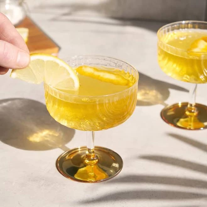 Viski Gatsby Coupes (Set of 2)
