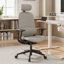 Eureka Ergonomics Skylar Ergonomic Office Chair