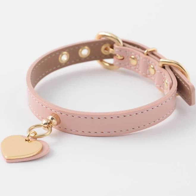 Dog Pet CollarName Tags Heart charm leather color Dog clothes/Apparel/Brand/Fashionable/Cute/Extra Small/Toy