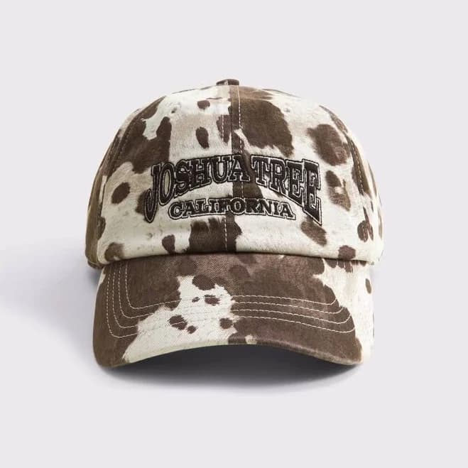 Abercrombie & Fitch Men's Joshua Tree Baseball Hat