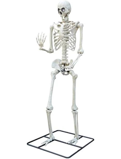 10 Ft. Standing Titan Light Up Skeleton