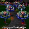 Video frame trigger