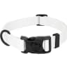 Video frame trigger