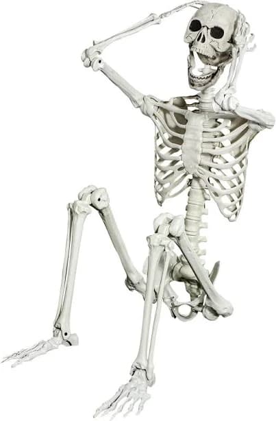 The Holiday Aisle 5.4 ft Posable Halloween Skeleton Decorations