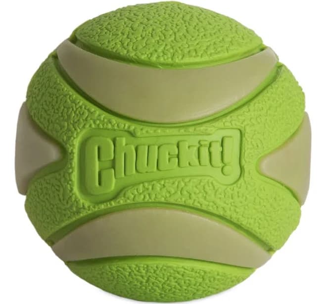Chuckit! Max Glow Ultra Squeaker Ball Dog Toy