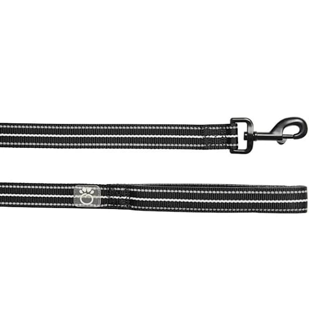 GF Pet Reflective Leash