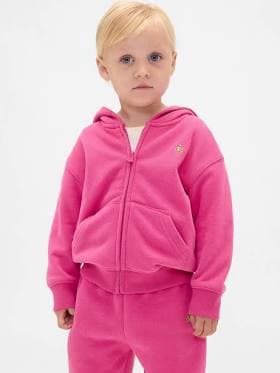 Gap Toddler & Vintagesoft Zip Hoodie