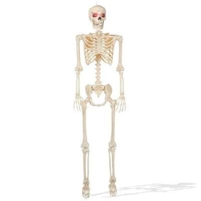 BOO BOX 5' Animated Full Size Halloween Skeleton with Lightup Eyes and Speaker