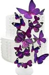Video frame trigger
