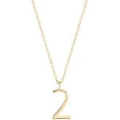 Number 2 Necklace