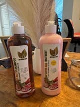 Onion, Rosemary and Biotin Set: Shampoo and Treatment – Natural Sant Usa