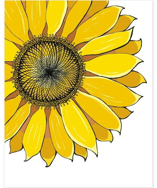 Sunflower Print