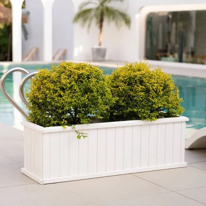 Three Posts Barros Outdoor Wood Planter Box