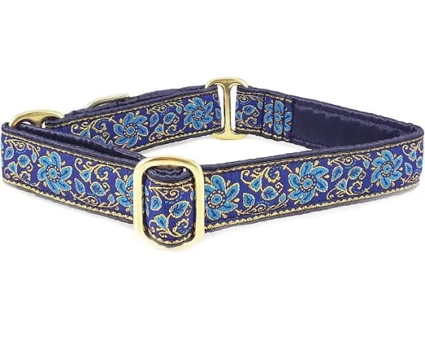 Martingale Dog Collar or Buckle
