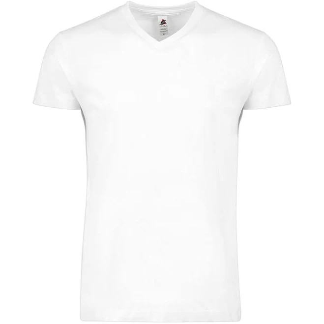 Softstyle Men's Comfort Fit V-Neck Tee