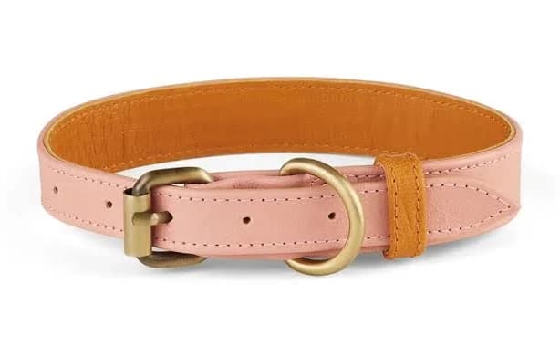 Handcrafted, Genuine Leather Dog Collar, Timeless & Classy, Pink | The Golden Dog Co