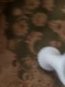 Video frame trigger