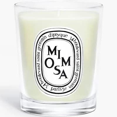Diptyque Mimosa Scented Candle