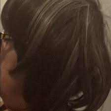 Hair | Synthetic Wig In Dark Brown With Silver Highlights | Poshmark
