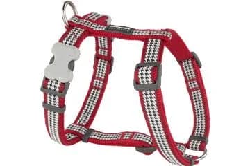 Red Dingo Fang It Dog Harness