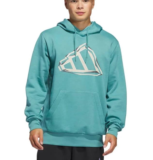 adidas Men's Big Logo Graphic Hoodie
