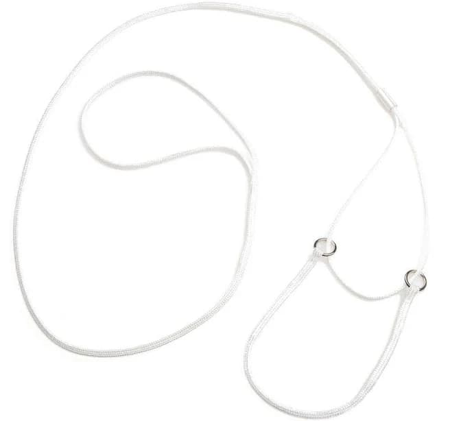 Mendota Pet Petite Martingale Lead