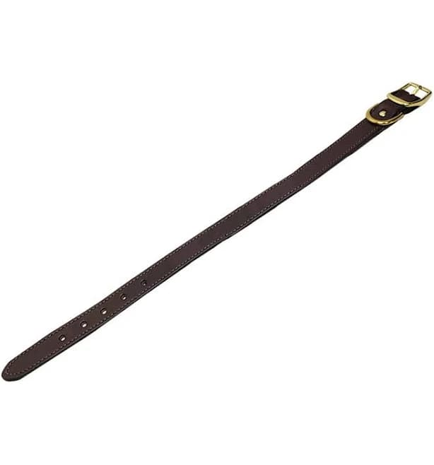LCS Premium Leather Collar