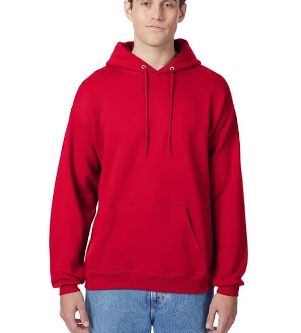 Hanes Men's EcoSmart Hooded Sweatshirt