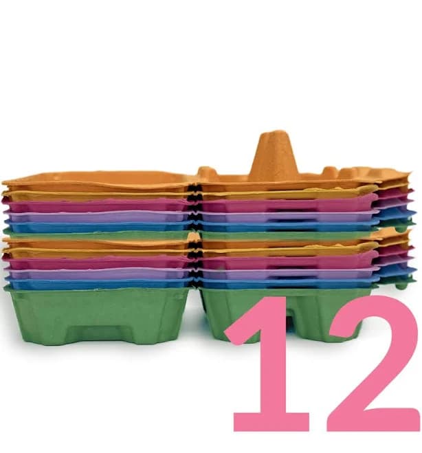 Egg Cartons Jumbo XL Multicolor