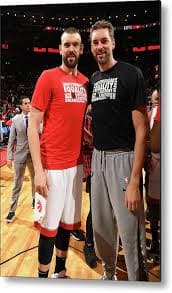 Marc Gasol and Pau Gasol Metal Print by Ron Turenne - NBA Photo Store