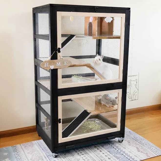 FunXplore 5 Level Small Pet Cage with Divider