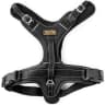 Video frame trigger