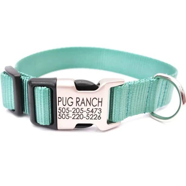 Mimi Green Personalized Nylon Dog Collar