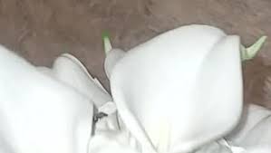 Amazon.com: IFFO, YIFUwedding Bridal Wedding Rose Calla Lily Bouquet Party Decoration Artificial Flowers Bridal Bouquet 9 inch Wedding Bouquet (White) : Home & Kitchen