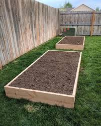 Raised Beds – Crazy Plant Bae