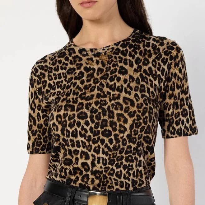 Gerard Darel Women's Eli Wool Leopard Print Sweater