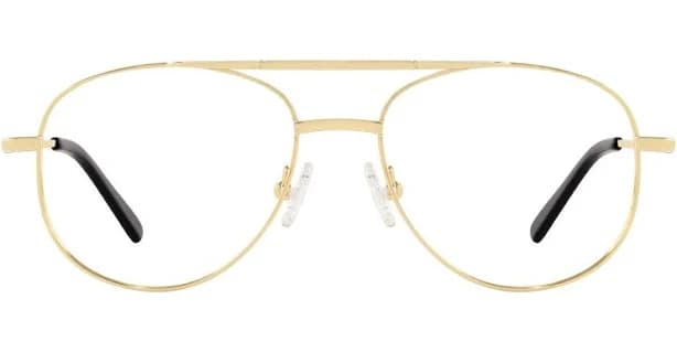 Dwight Aviator
