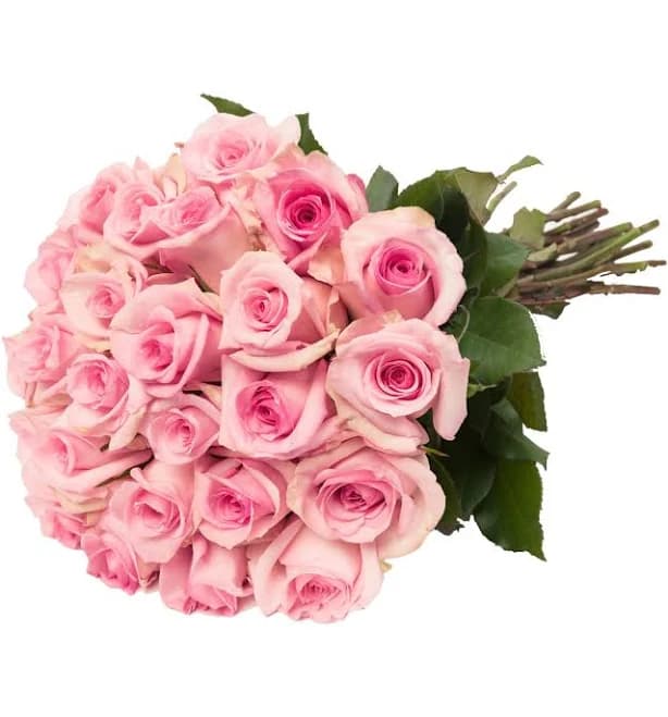 Bloomingmore Pink Roses Gift